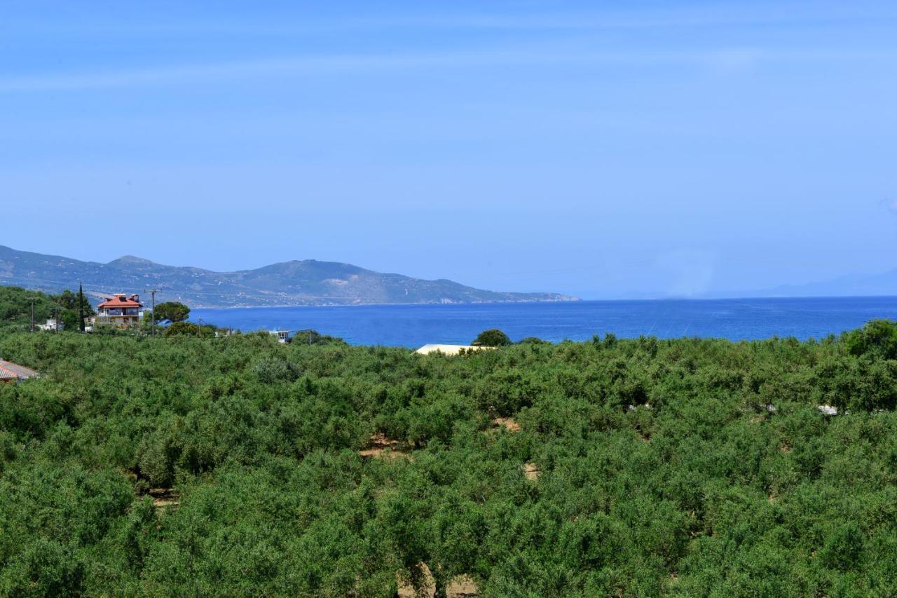 Asteria Apartments Kota Zakynthos Bagian luar foto